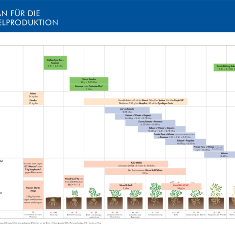 Spritzplan Kartoffel 2026