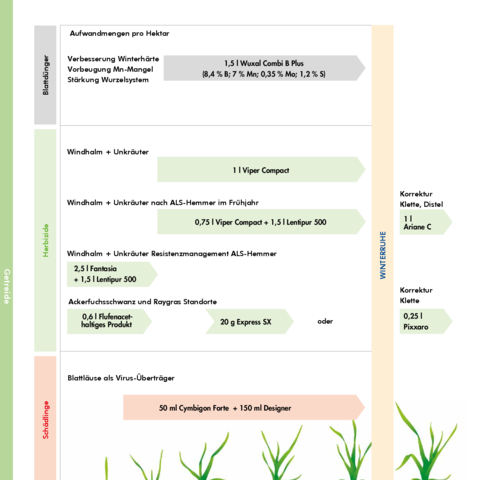 Herbststrategie Getreide 2026