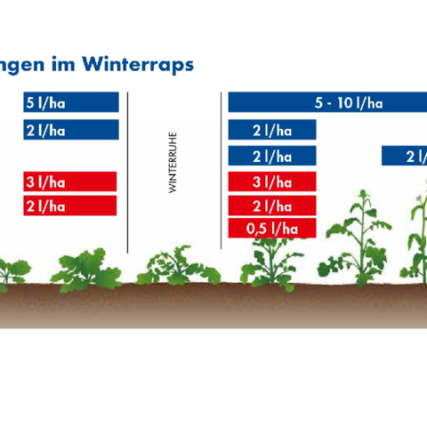 Empfehlungen Winterraps Blattdünger 2026