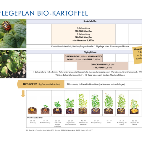 Pflegeplan Bio-Kartoffel 2026