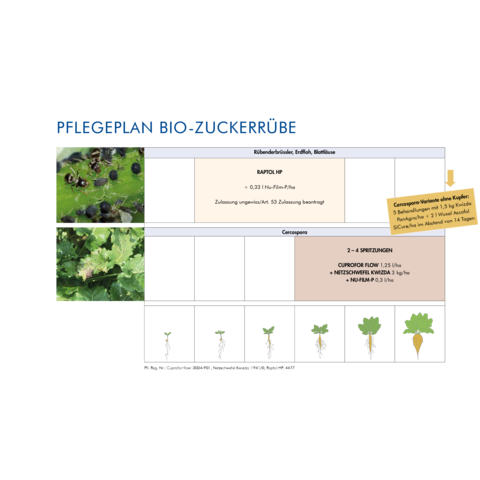 Pflegeplan Bio-Zuckerrübe 2026